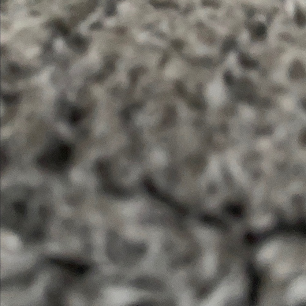 Meet your Posher, Paige